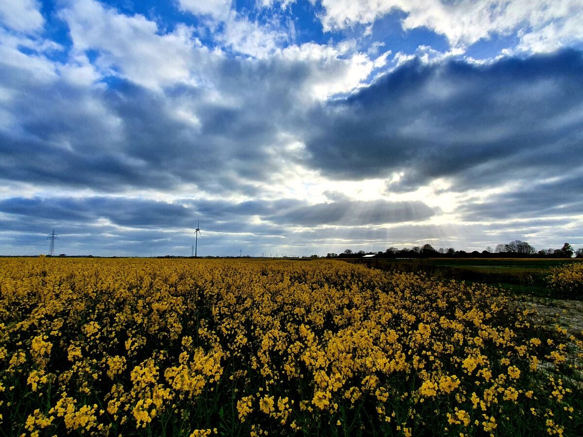 Weites Ostfriesland