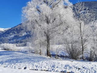 Apartment Piesendorf Umgebung 28