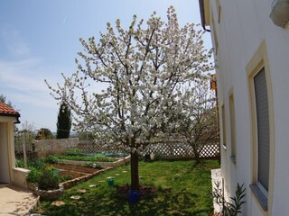 Apartamento Vinkuran Grabación al aire libre 4