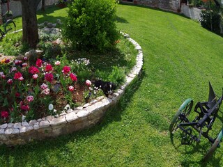 Appartement Bokordići  40