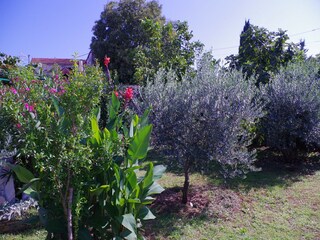 Casa de vacaciones Rakalj  28