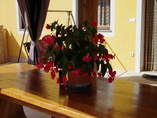 Maison de vacances Juršići  38