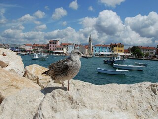 Maison de vacances Juršići Environnement 34