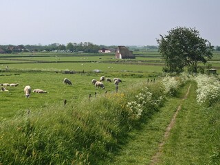 Vakantiehuis Den Burg Omgeving 37