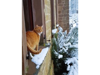 Holiday apartment Heimbach/Eifel Outdoor Recording 11