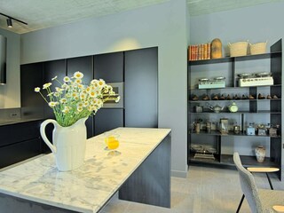 Villa Kanfanar Caratteristiche 21