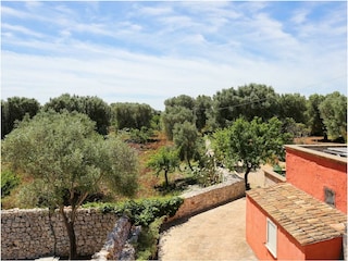 Top view