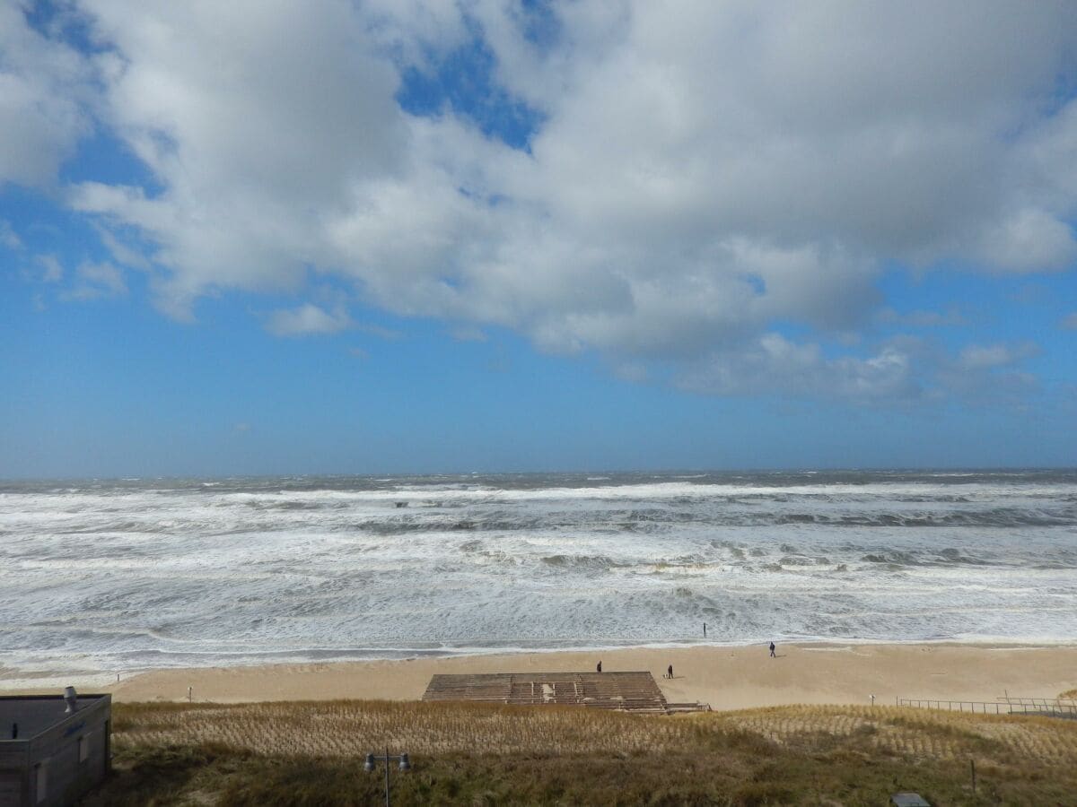 Apartment Egmond aan Zee Outdoor Recording 1