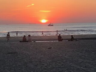 Appartamento per vacanze Zandvoort Ambiente 24