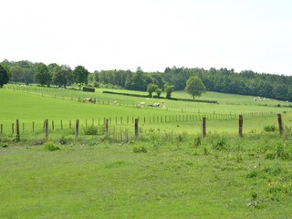 Casa de campo Houffalize Entorno 62