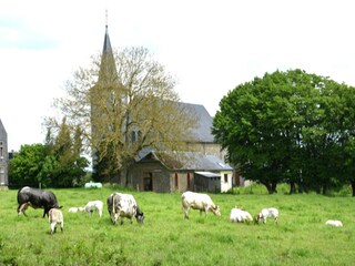 Type de propriété : Ferme Houffalize Environnement 64