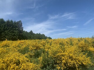 Bauernhof Houffalize Umgebung 64