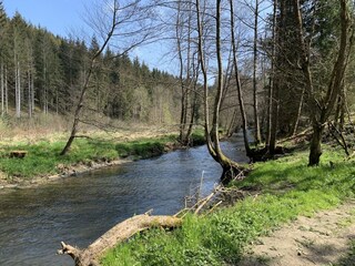 Farmhouse Houffalize Environment 62