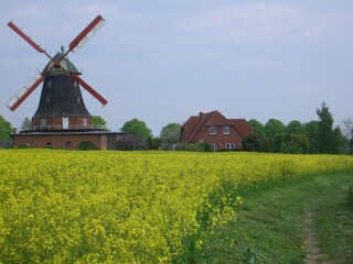 Appartement Neubukow Buitenaudio-opname 2