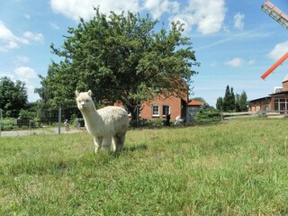 Apartment Neubukow Außenaufnahme 8