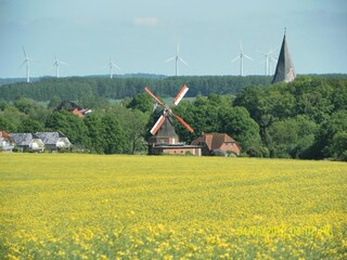 Appartement Neubukow Environnement 36