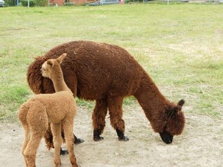 Apartment Neubukow Außenaufnahme 10