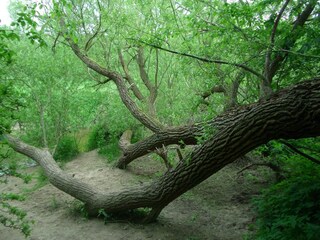 Appartement Neubukow Environnement 31