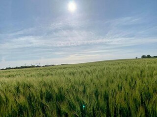 Apartment Neubukow Environment 36