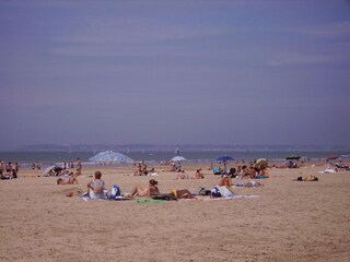 Maison de vacances Ouilly-le-Vicomte Environnement 42