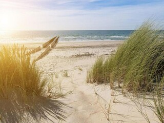 Holiday park Cadzand-Bad Environment 20