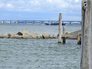 Casa per le vacanze Colijnsplaat Ambiente 36