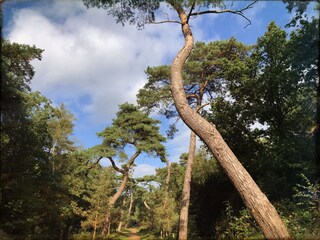 Casa per le vacanze Bergen (Holland) Ambiente 32