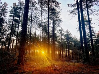 Casa per le vacanze Bergen (Holland) Ambiente 34