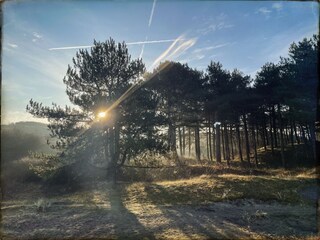 Casa per le vacanze Bergen (Holland) Ambiente 38