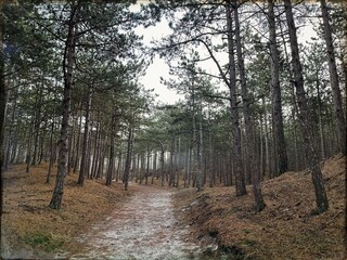 Casa per le vacanze Bergen (Holland) Ambiente 40