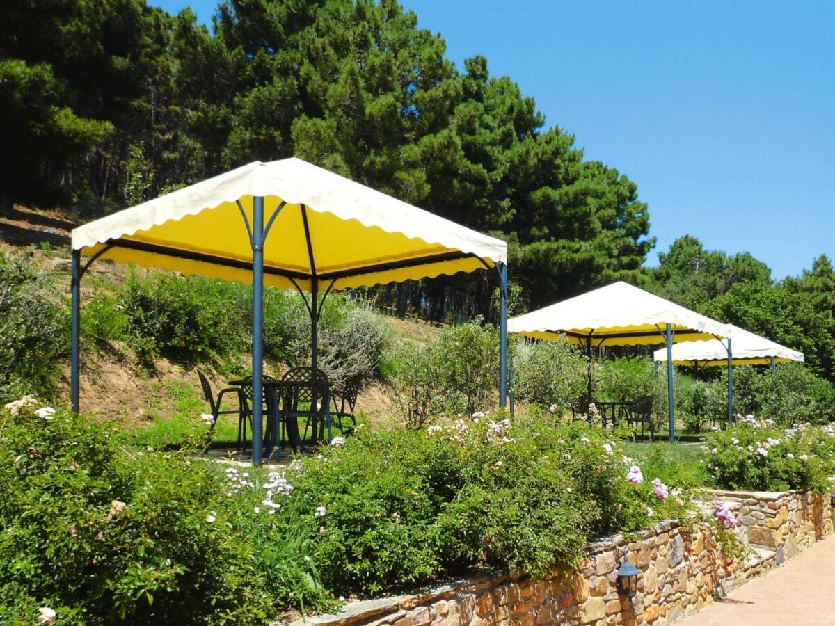 Parque de vacaciones Buti Grabación al aire libre 1