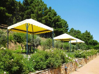 Vakantiepark Buti Buitenaudio-opname 9