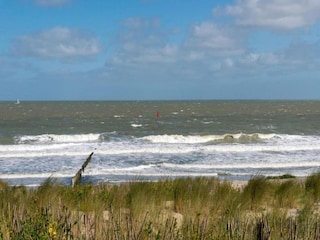 Ferienpark Cadzand-Bad Umgebung 23