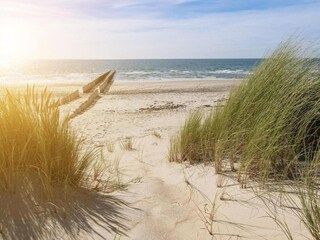 Vakantiepark Cadzand-Bad Omgeving 21