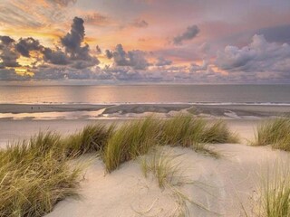 Vakantiepark Cadzand-Bad Omgeving 22