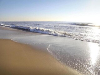 Parc de vacances Cadzand-Bad Environnement 24