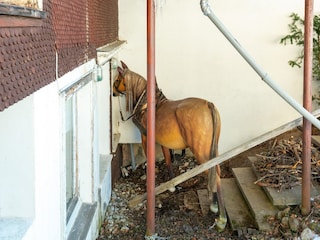 Apartment Hittisau Außenaufnahme 4