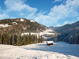 Appartamento Hittisau Ambiente 23