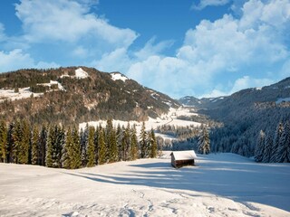 Appartement Hittisau Environnement 19