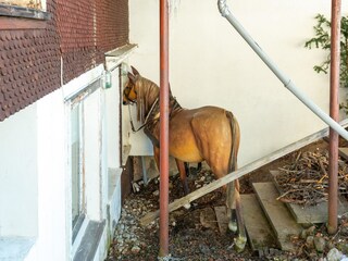 Appartamento Hittisau Registrazione all'aperto 5