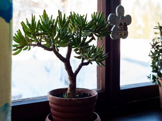 Appartement Hittisau  40