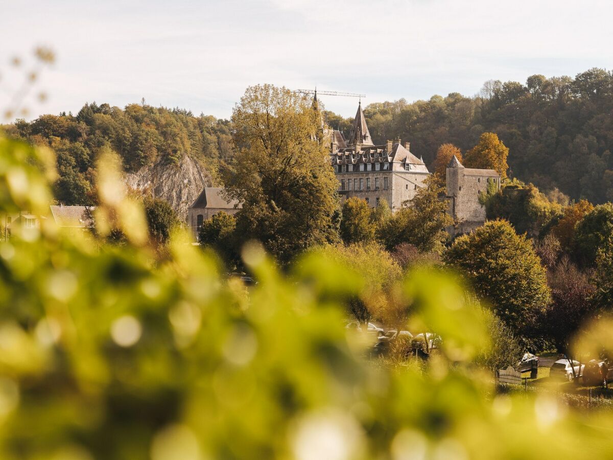 Vakantiehuis Barvaux-sur-Ourthe Buitenaudio-opname 1