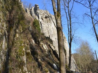 Maison de vacances Barvaux-sur-Ourthe Environnement 33