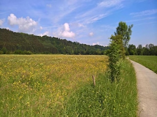 Vakantiehuis Barvaux-sur-Ourthe Omgeving 31