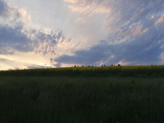 Maison de vacances Barvaux-sur-Ourthe Environnement 39