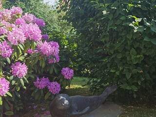 Ferienwohnung Juist Umgebung 61