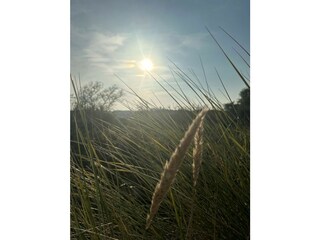 Ferienwohnung Juist Umgebung 63