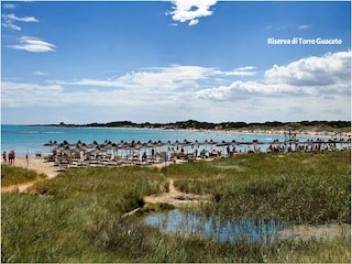 Casa per le vacanze Carovigno Ambiente 28