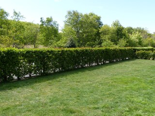 Appartamento per vacanze Borkum Ambiente 13