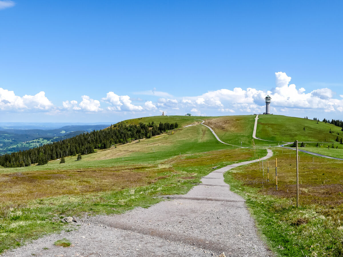 Feldberg im Sommer